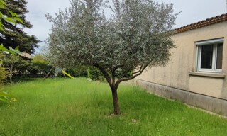 Photo N° 6