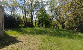 Photo N° 3