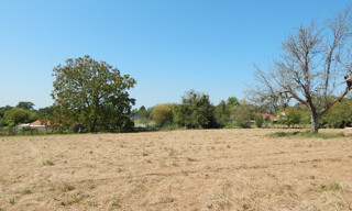 Photo N° 4