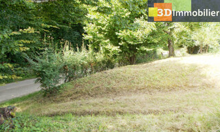 Photo N° 6