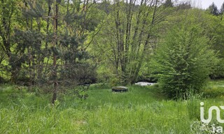 Photo N° 6