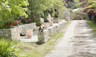 Photo N° 4