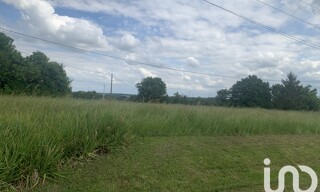 Photo N° 4