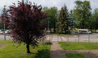 Photo N° 8