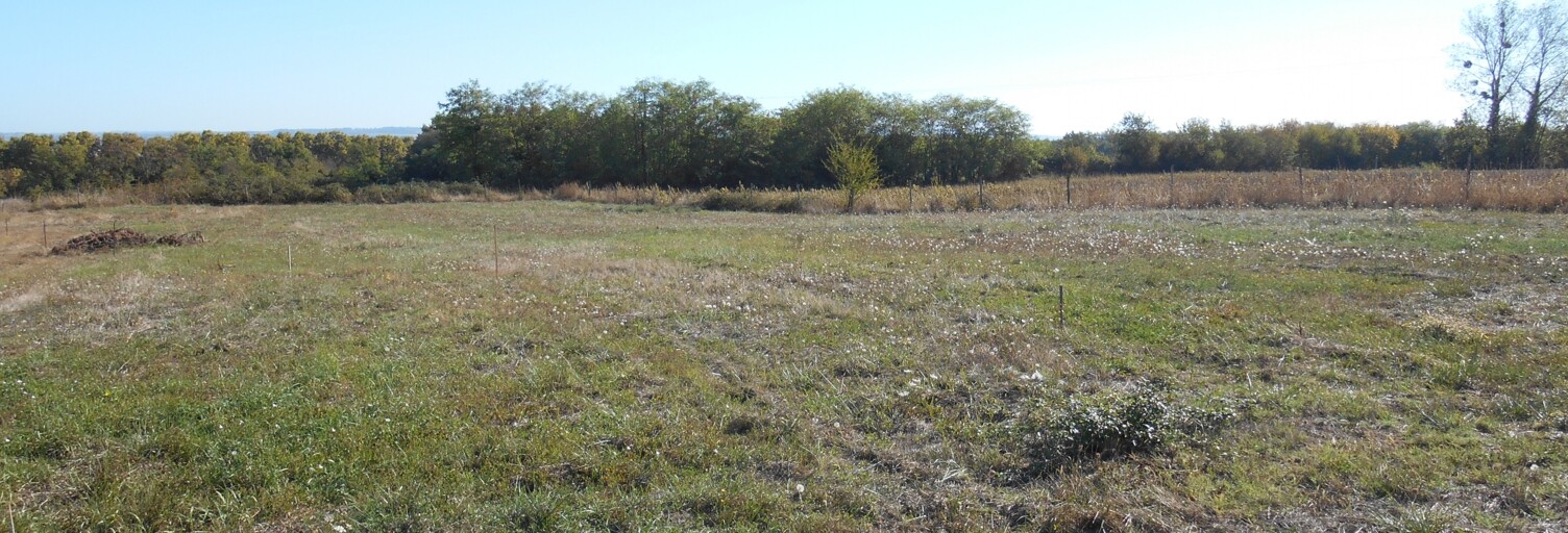 Terrain  1542 m² à vendre à Fourques-sur-Garonne (47200)