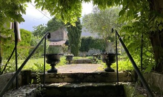Photo N° 6