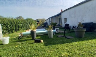 Photo N° 5