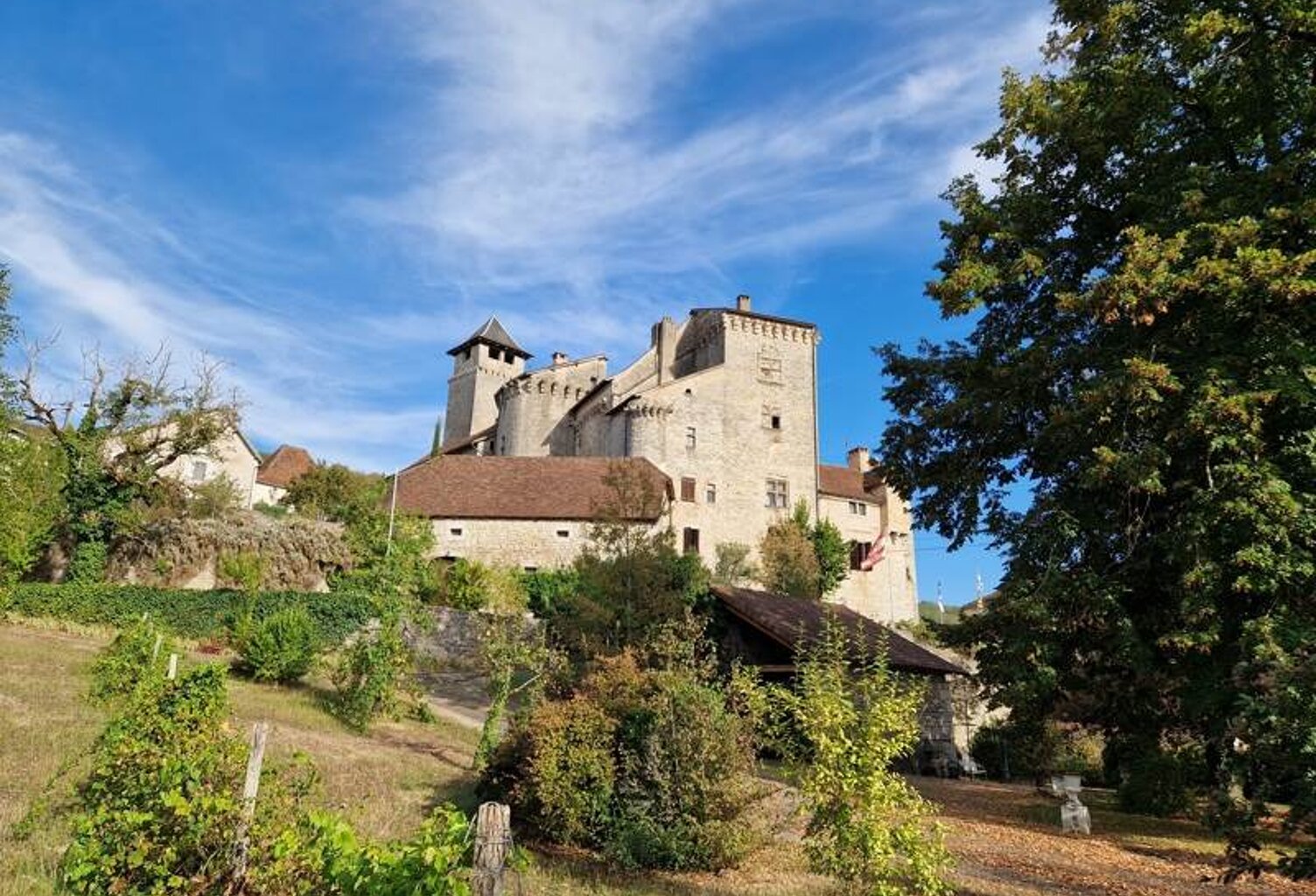 Château de 15 pièces principales — photo 1