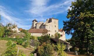 Maison 15 Pièces 540 m² à vendre à Salvagnac-Cajarc (12260)