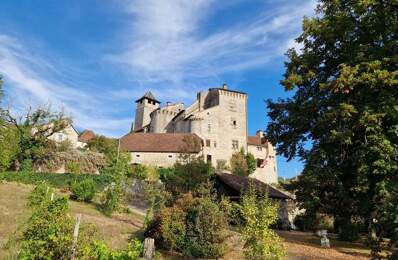 Château de 15 pièces principales — photo du bien