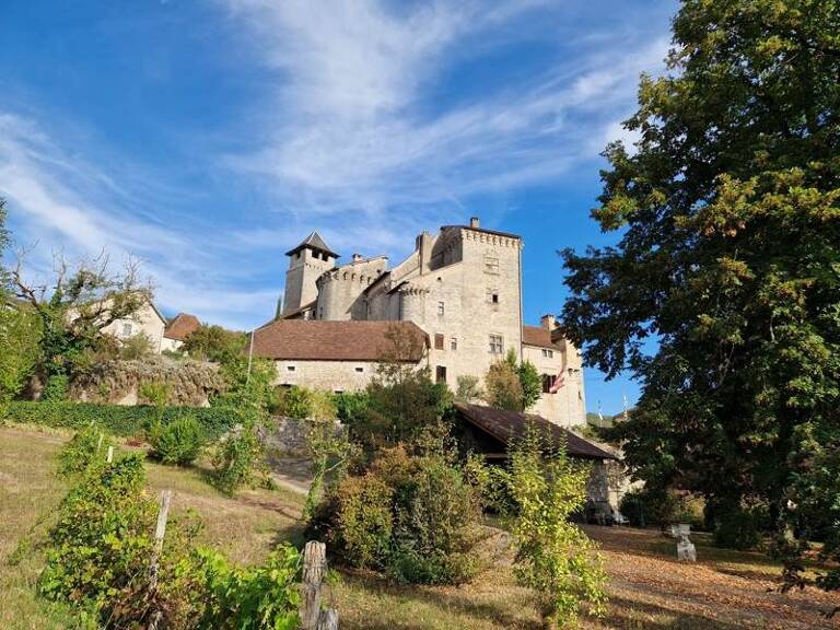 Château de 15 pièces principales — photo 1