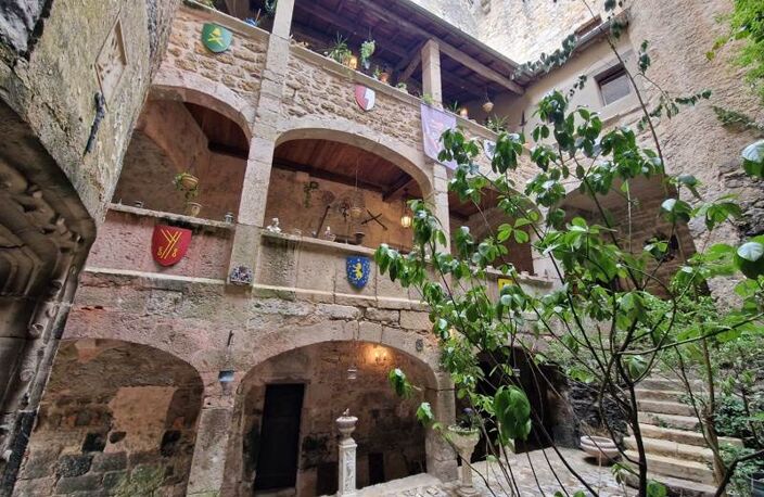 Château de 15 pièces principales — photo 2
