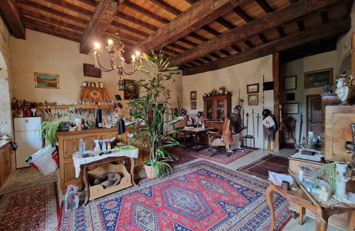 Château de 15 pièces principales — photo 4