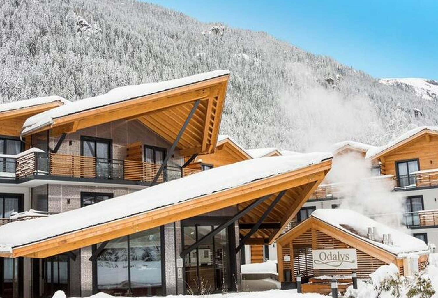 INVESTISSEMENT LMNP CHAMONIX - T3 RÉSIDENCE TOURISME **** — photo 1