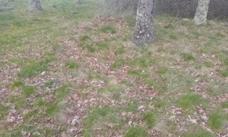 Photo N° 3