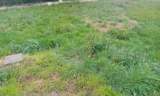 Terrain  502 m² à vendre à Gujan-Mestras (33470)