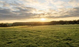 Terrain  700 m² à vendre à Léognan (33850)