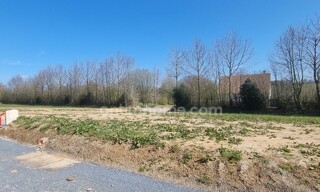Photo N° 4