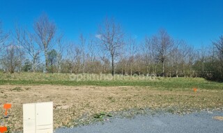 Photo N° 5