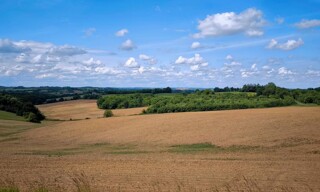 Photo N° 3