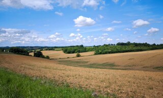 Photo N° 4
