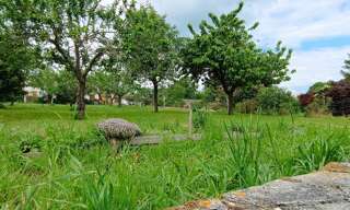 Maison 4 Pièces 112 m² à vendre à Saint-Félix (17330)