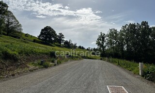 Photo N° 4