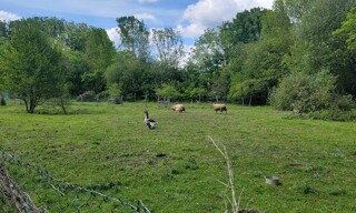 Photo N° 4