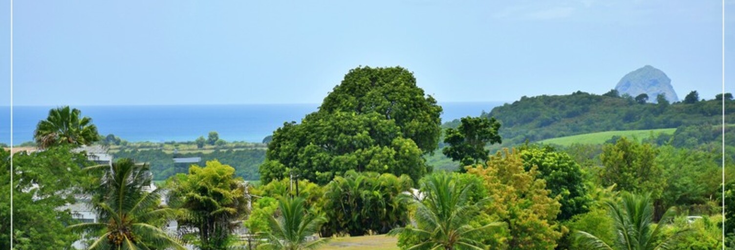 Maison 13 Pièces 241 m² à vendre à Sainte-Luce (97228)