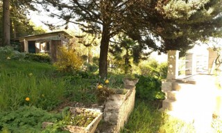 Photo N° 5
