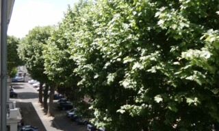 Photo N° 6