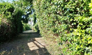 Photo N° 3