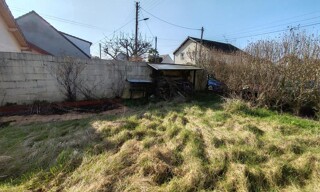 Photo N° 16