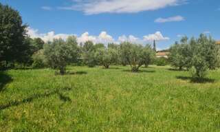 Terrain  791 m² à vendre à Paulhan (34230)