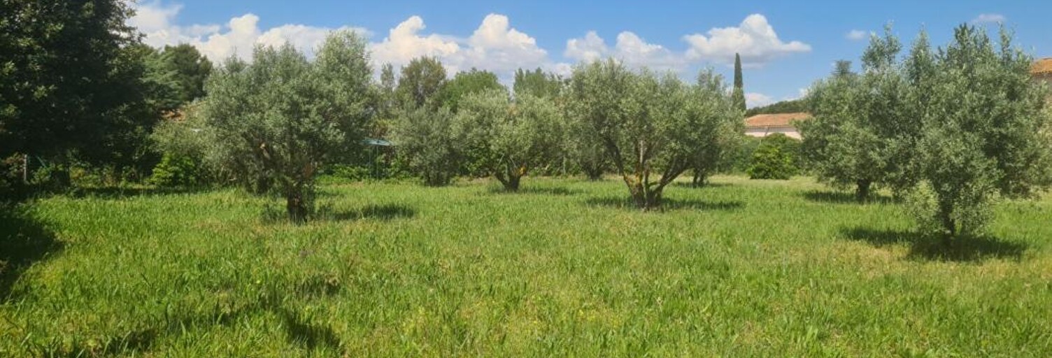 Terrain  791 m² à vendre à Paulhan (34230)