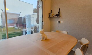 Photo N° 4
