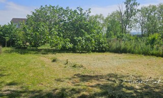 Photo N° 4