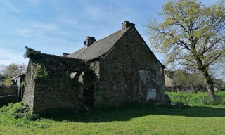 Maison 1 Pièce 55 m² à vendre à Montertelot (56800)