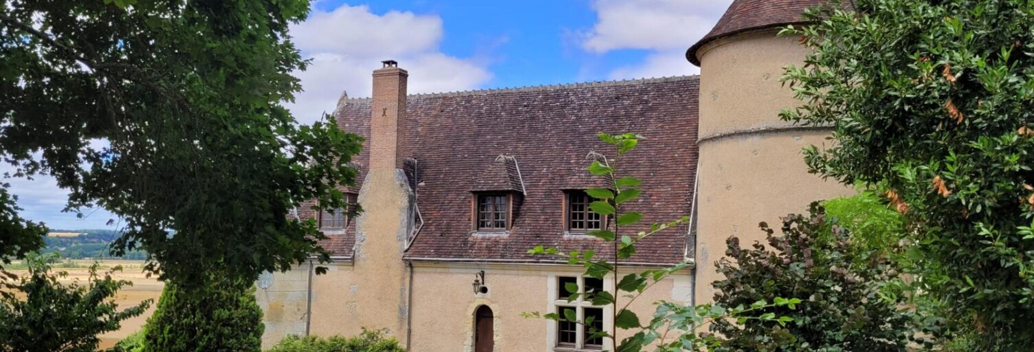 Commerce 4 Pièces 154 m² à vendre à Lavardin (41800)