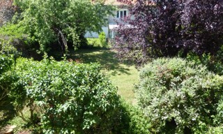 Photo N° 3