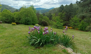 Photo N° 6