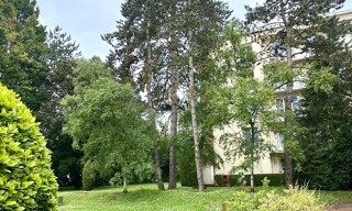 Photo N° 4