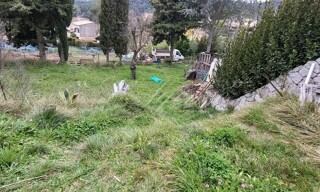 Photo N° 9