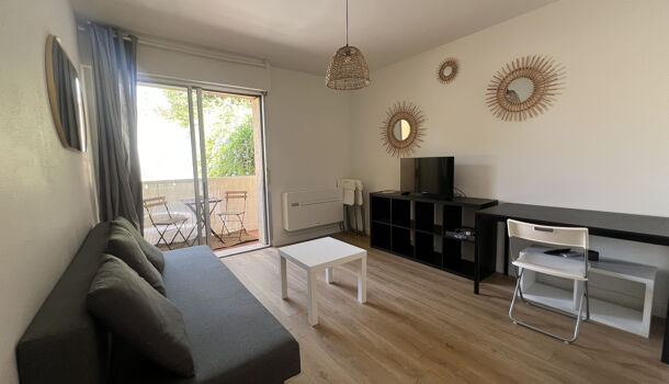 Appartement 1 pièces  à louer Montpellier 34000