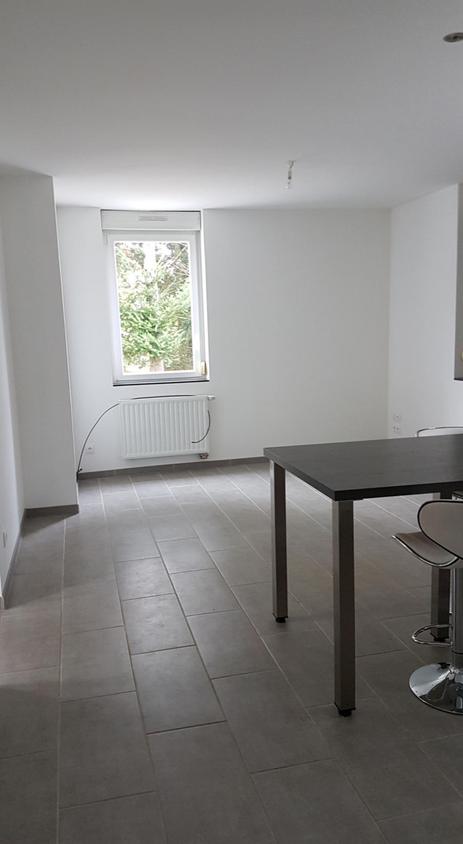 Vente T3 65 m² à Thaon-les-Vosges 115 000 ¤