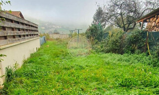 Photo N° 6