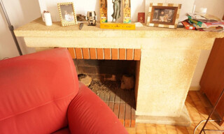 Photo N° 4
