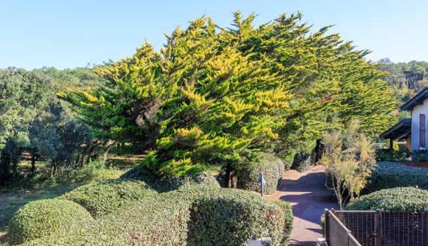 Villa / Maison 3 pièces  à vendre Seignosse 40510