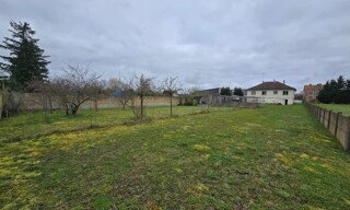 Photo N° 6