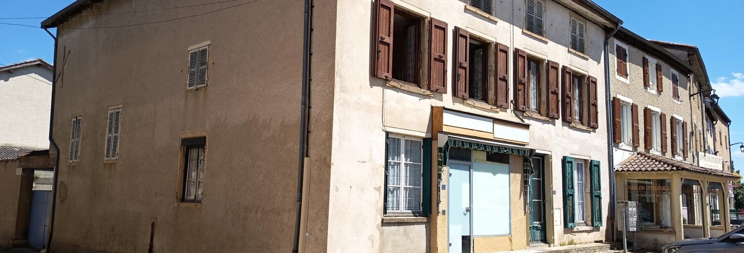 Maison 13 Pièces 198 m² à vendre à Romanèche-Thorins (71570)